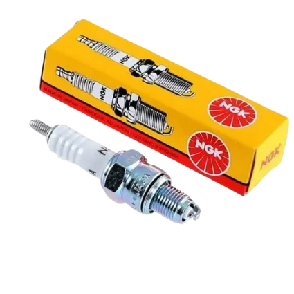 IMG-6341410634648205051_clipdrop-background-removal